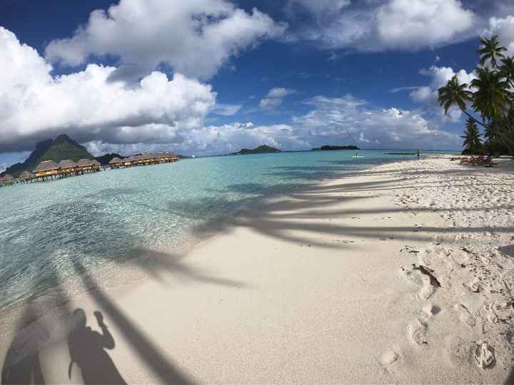 Polinesia Polinesia Polinesia - 1