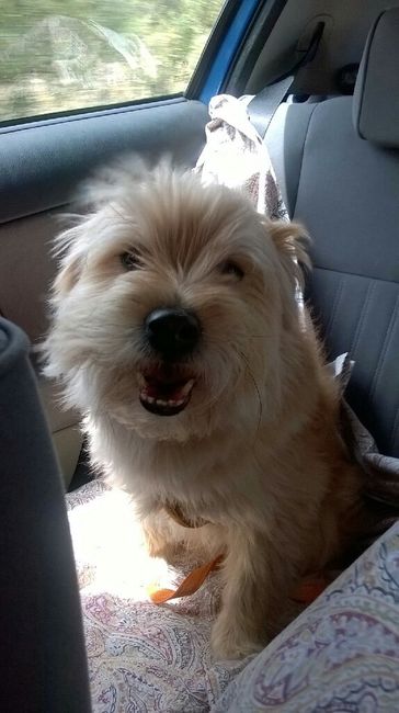 Io....luiii....e il nostrooo totÒ? - 1