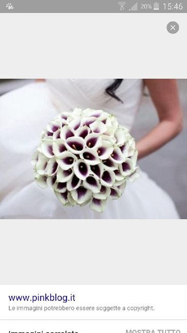 Il bouquet... quale sarà il vostro?... - 9