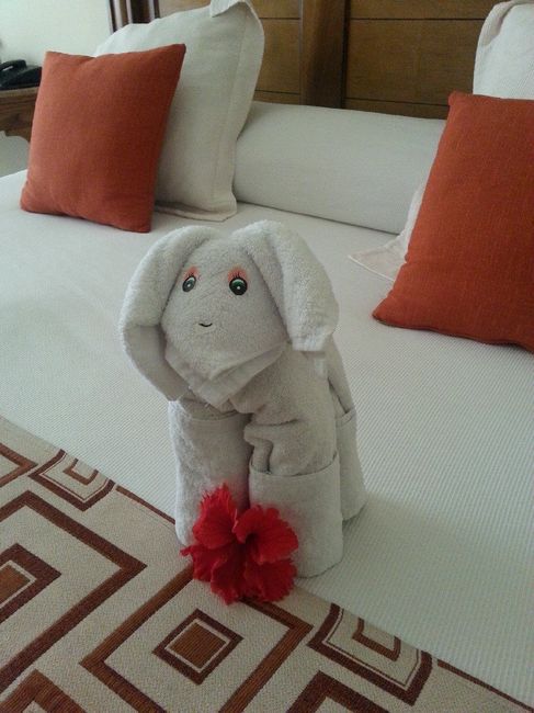  Viaggio di nozze - 1