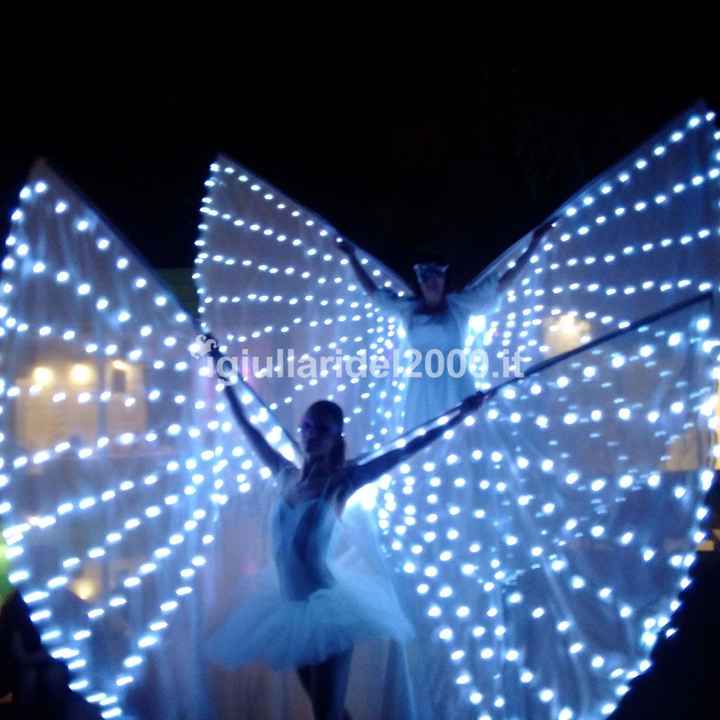 Matrimonio shabby e spettacolo farfalle luminose - 1