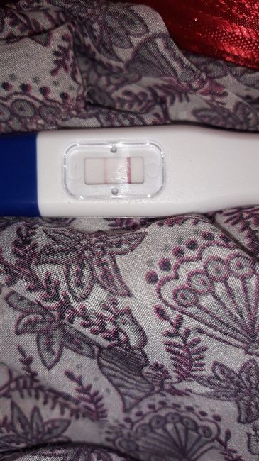 Test gravidanza e ovulazione - 1