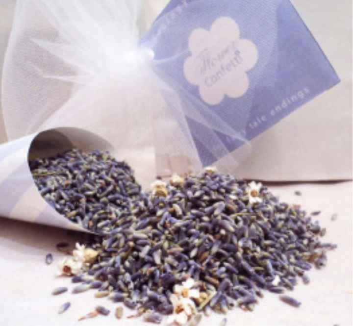 Semi lavanda