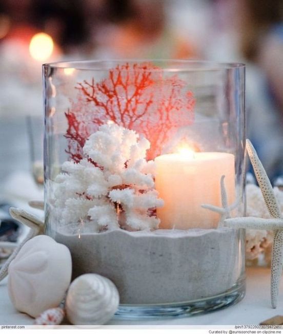 coral and snow