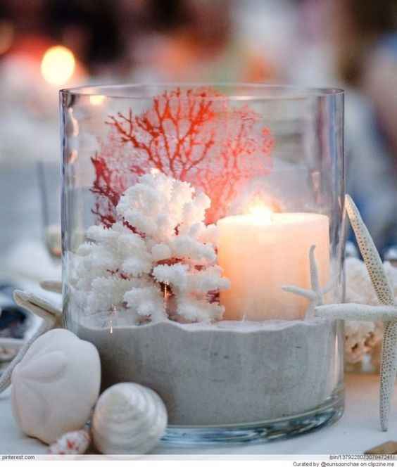 coral and snow