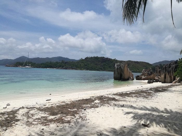 Scelta viaggio di nozze - 1