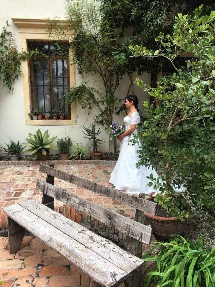 Curiosità sul vestito - 1