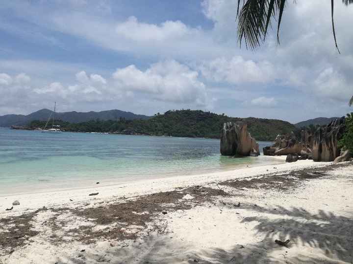 Scelta viaggio di nozze - 1