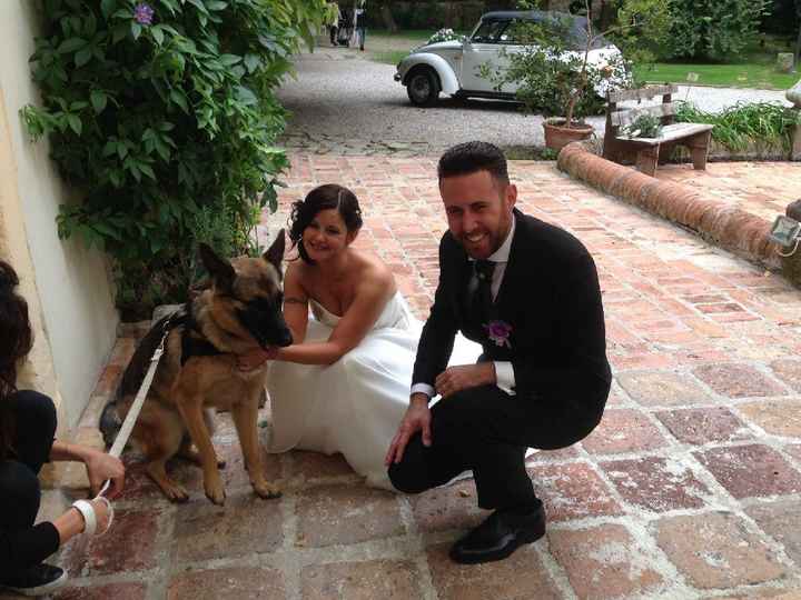 Accessorio per il mio bimbo.....peloso! - 1