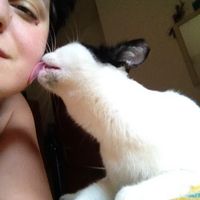 Un altra arrivata ..Palu'!  - 1