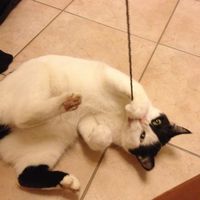 Un altra arrivata ..Palu'!  - 2