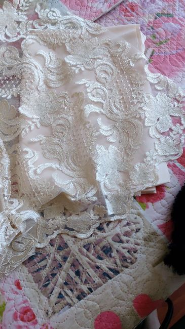 Mascherina sì o no 5