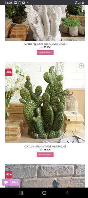 aaa cercasi cactus di ceramica 1