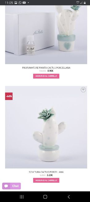 aaa cercasi cactus di ceramica 2