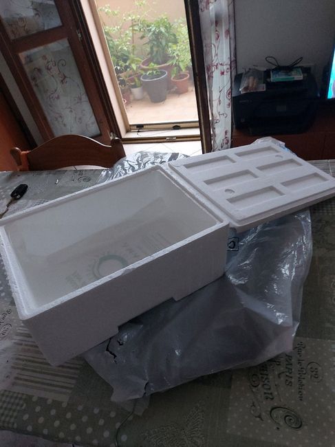 Conservazione confetti 1