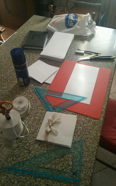 Iniziate ufficialmente le partecipazioni - 3