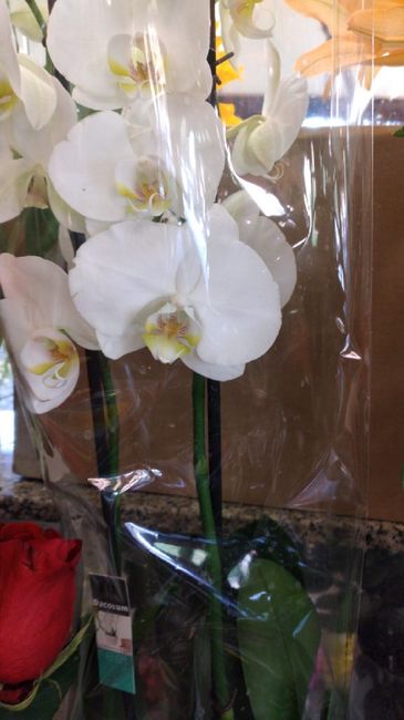 Bouquet 2