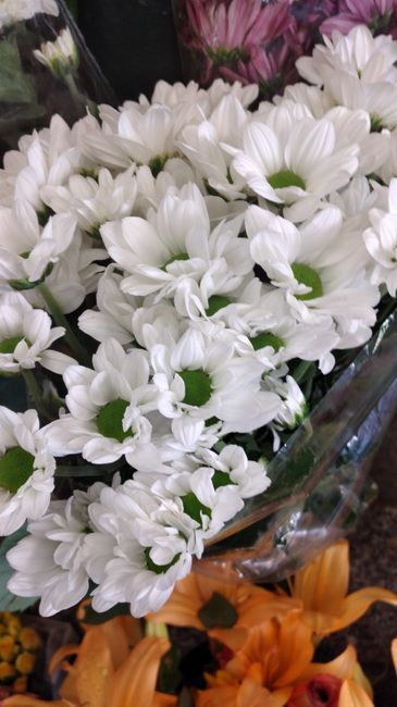 Bouquet 3