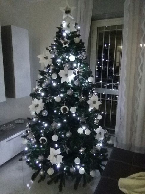 Il nostro alberoooo ? - 1