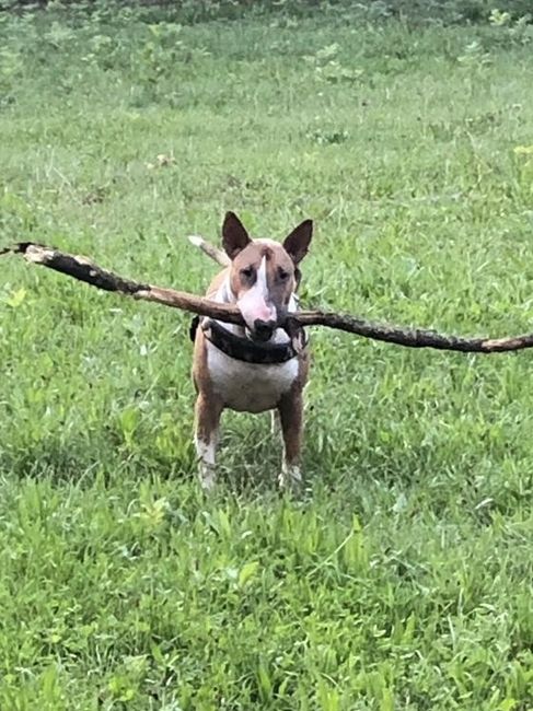 partecipazioni con due ospiti speciali 2