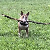 partecipazioni con due ospiti speciali - 1