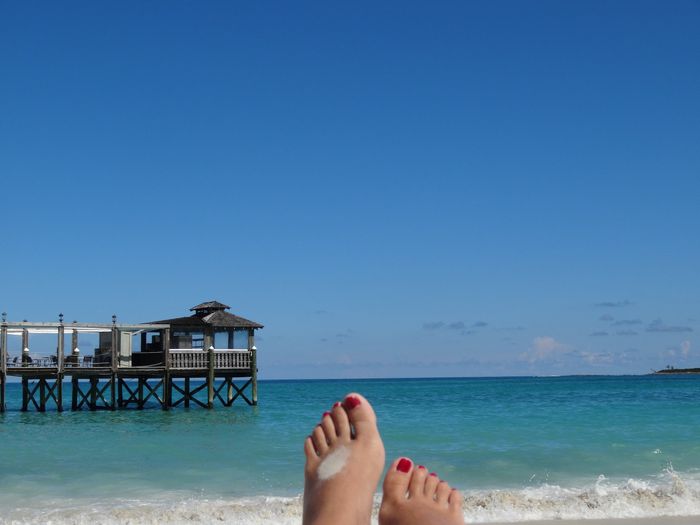 Lucertolina al sole.....