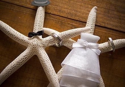 porta fedi stelle