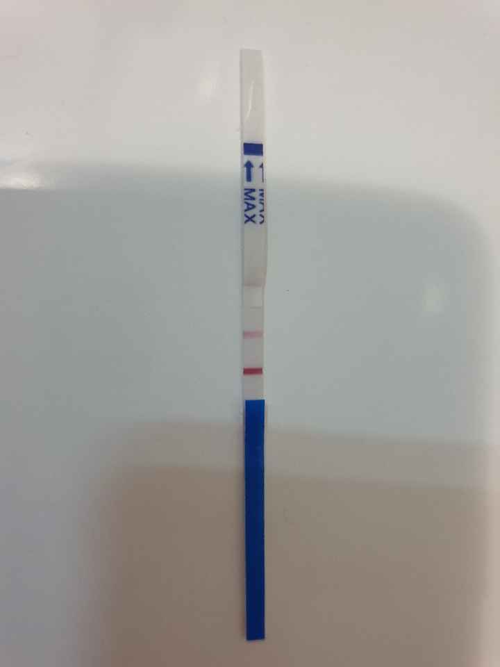 Perdite biancastre - 1