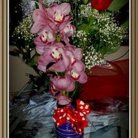 I fiori di san valentino - 1