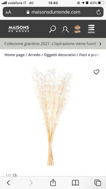 Dove posso trovare questi fiorellini??? - 1