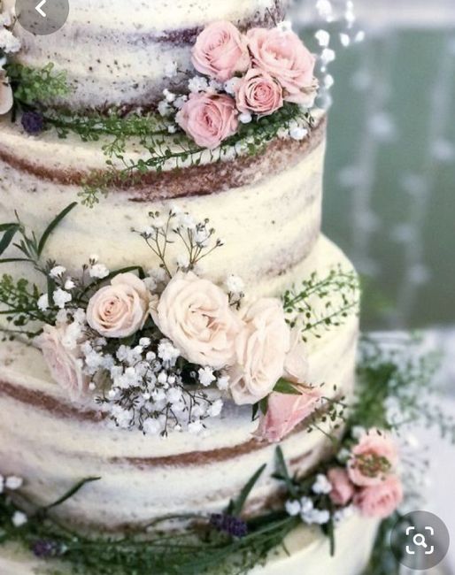 Naked Cake: promossa o bocciata? 2