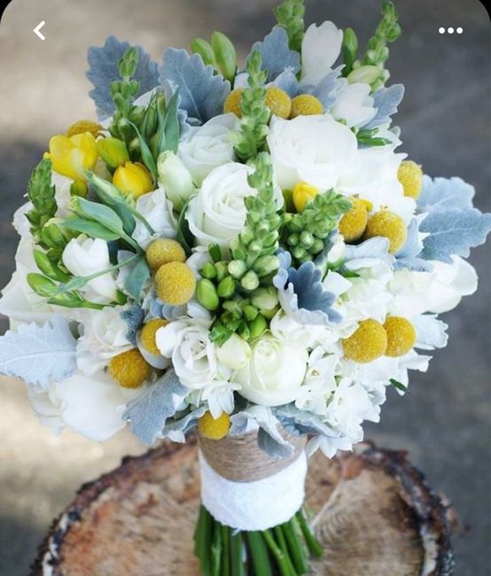 Fiori bianchi o colorati? 2