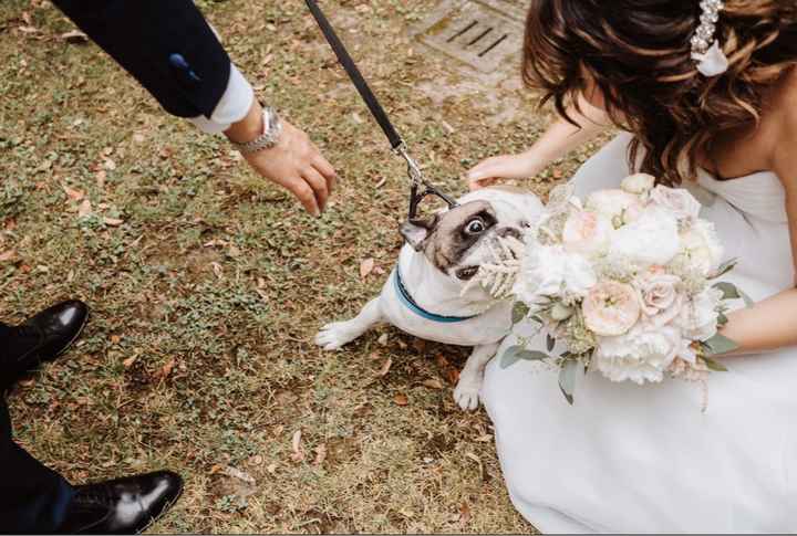 Scelta del  Bouquet💐 - 2