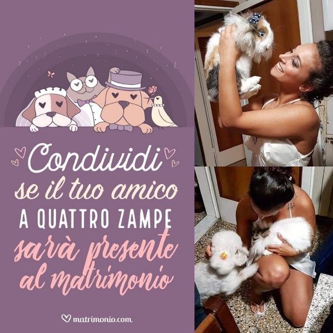 Il nostro giorno ❤️❤️❤️ - 10