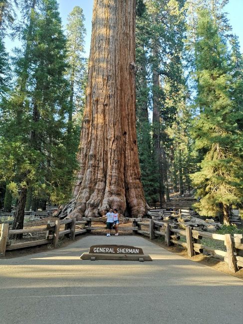 Il Nostro viaggio ❤️❤️ - 2