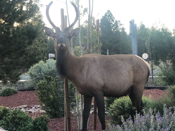 Il Nostro viaggio ❤️❤️ - 15