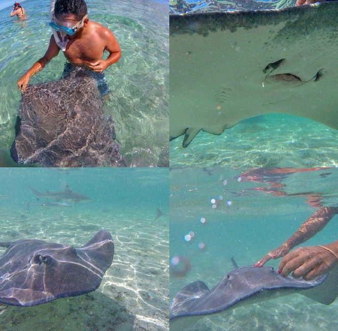 Il Nostro viaggio ❤️❤️ - 34