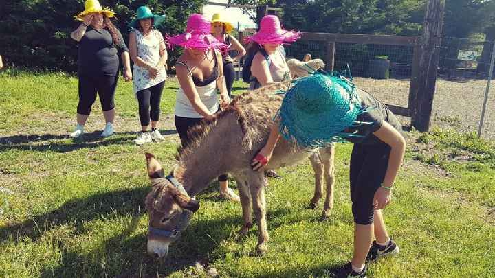 Secondo Addio al nubilato - 5