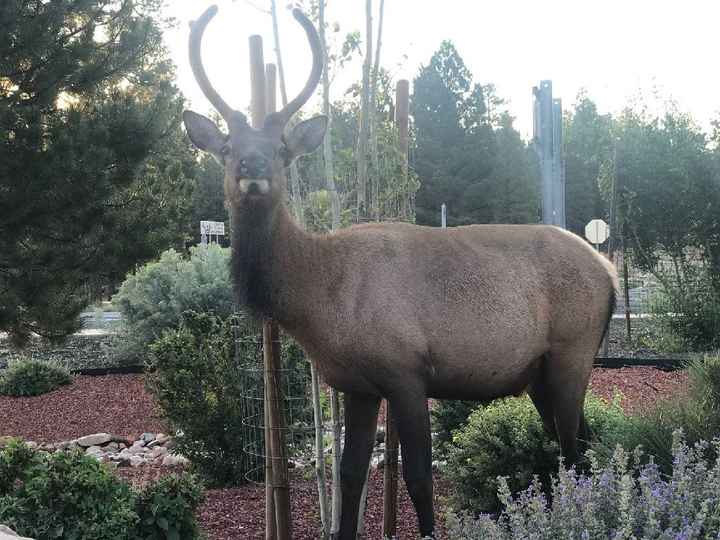 Il Nostro viaggio ❤️❤️ - 15