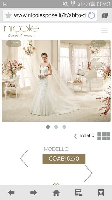 Abito da sposa, il vostro? - 1