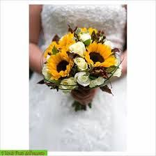 Consigli girasoli - 1