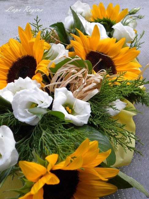 Consigli girasoli - 2