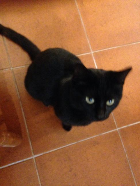  La famiglia si allarga 😂 - 2