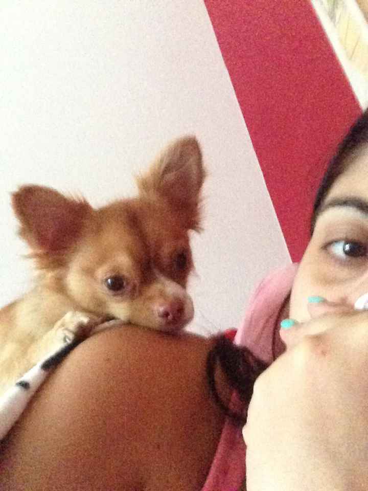 Le foto con i nostri pelosoni - 1