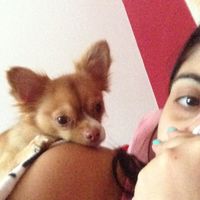 Le foto con i nostri pelosoni - 1
