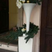 Il nostro si....! 10 dicembre 2016 - 10