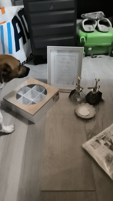 Tutto ciò che avete creato ❤️ - 4