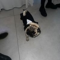 Sposi che celebreranno le nozze il 21 Dicembre 2024 - Napoli - 1