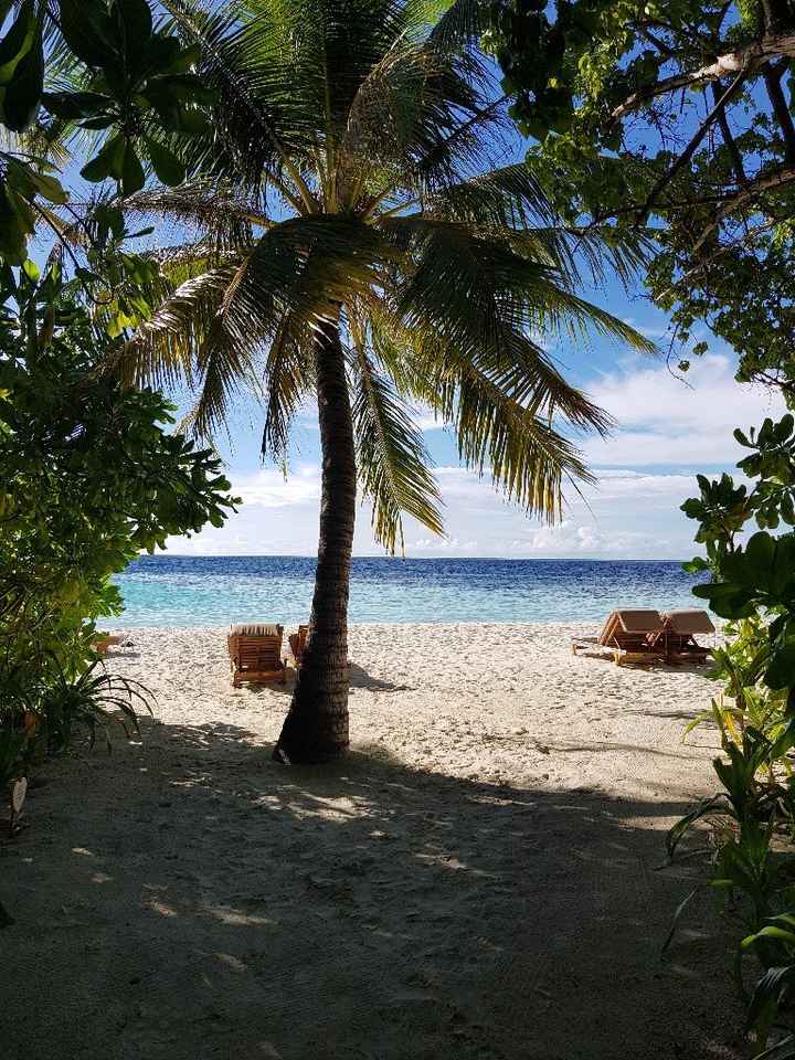 Maldive? - 2