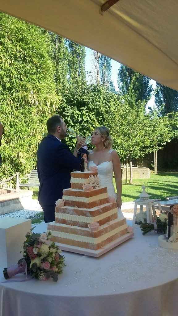 Effetto torta  finta - 1